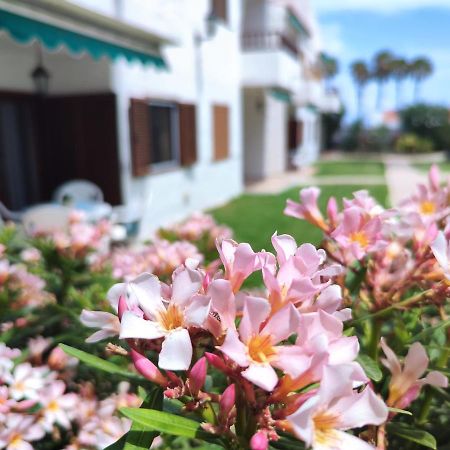 Los Balandros 116 San Agustín 外观 照片