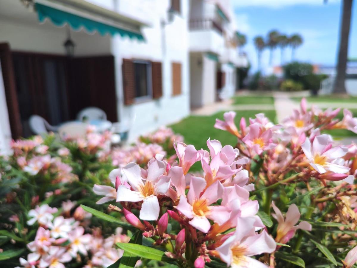 Los Balandros 116 San Agustín 外观 照片
